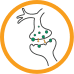 Reduce glutamate in the trigeminal nucleus Icon of trigeminal nucleus