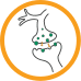 Icon of trigeminal nucleus